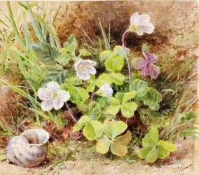 Sauerampfer und Muschel, ca. 1865-74
